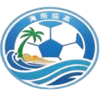 临高队
